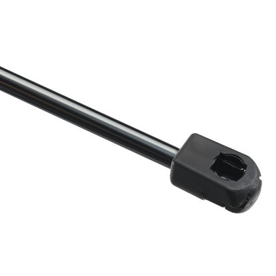 Gasfeder, Koffer-/Laderaum RIDEX 219G1013 219G1013 - foto 5