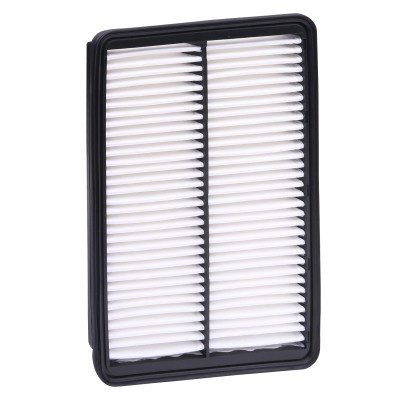 Luftfilter RIDEX 8A0670 8A0670 - foto 5