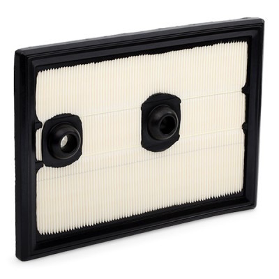 Luftfilter RIDEX 8A0321 8A0321 - foto 5