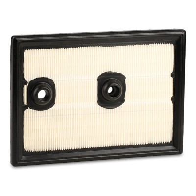 Luftfilter RIDEX 8A0321 8A0321 - foto 8