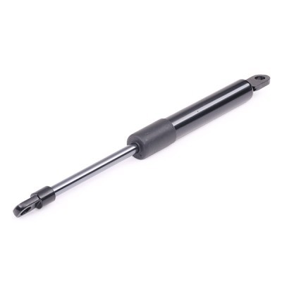 Gasfeder, Koffer-/Laderaum RIDEX 219G0497 219G0497 - foto 6