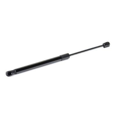 Gasfeder, Koffer-/Laderaum RIDEX 219G1102 219G1102 - foto 4