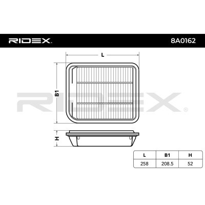 Luftfilter RIDEX 8A0162 8A0162 - foto 6