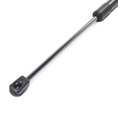 Gasfeder, Koffer-/Laderaum RIDEX 219G1107 219G1107 - foto 4