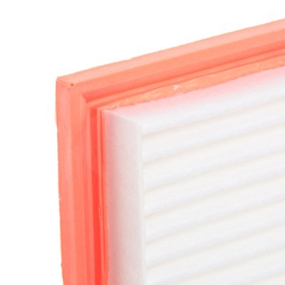 Luftfilter RIDEX 8A0643 8A0643 - foto 5