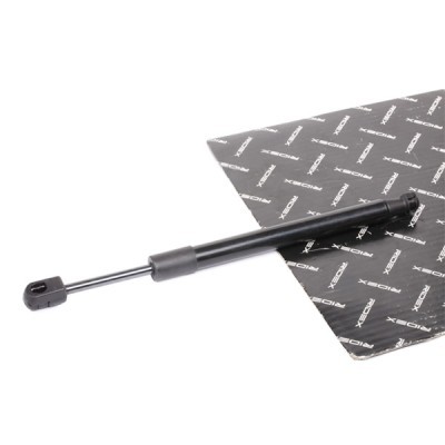 Gasfeder, Koffer-/Laderaum RIDEX 219G0983 219G0983 - foto 2
