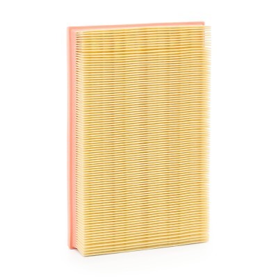 Luftfilter RIDEX 8A0024P 8A0024P - foto 3