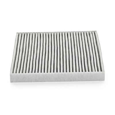 Filter, Innenraumluft RIDEX 424I0041P 424I0041P - foto 4