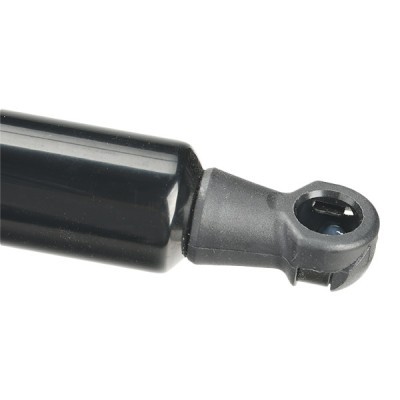 Gasfeder, Koffer-/Laderaum RIDEX 219G0974 219G0974 - foto 6