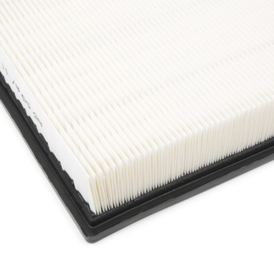 Luftfilter RIDEX 8A0189 8A0189 - foto 5