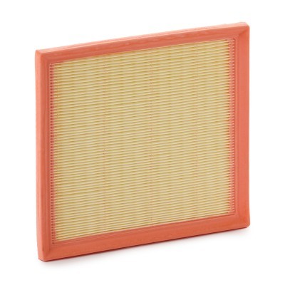 Luftfilter RIDEX 8A0691 8A0691 - foto 2