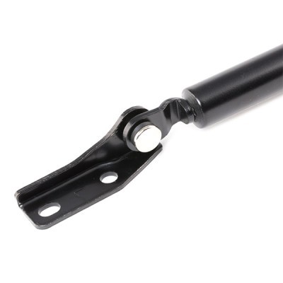 Gasfeder, Koffer-/Laderaum RIDEX 219G0573 219G0573 - foto 4