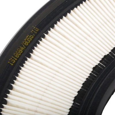 Luftfilter RIDEX 8A0498 8A0498 - foto 5