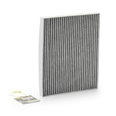 Filter, Innenraumluft RIDEX 424I0041P 424I0041P - foto 2