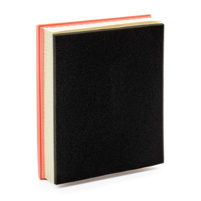 Luftfilter RIDEX 8A0651 8A0651 - foto 3