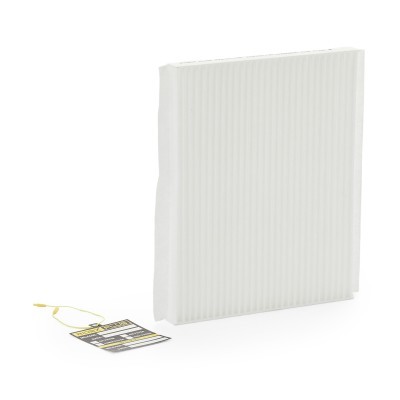 Filter, Innenraumluft RIDEX 424I0119P 424I0119P - foto 2
