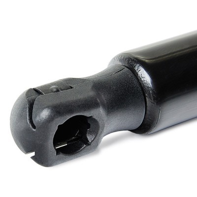 Gasfeder, Koffer-/Laderaum RIDEX 219G1022 219G1022 - foto 6