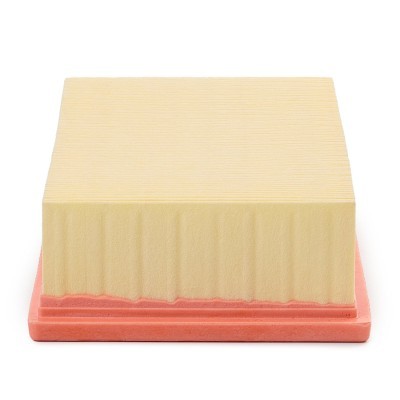 Luftfilter RIDEX 8A0092P 8A0092P - foto 5