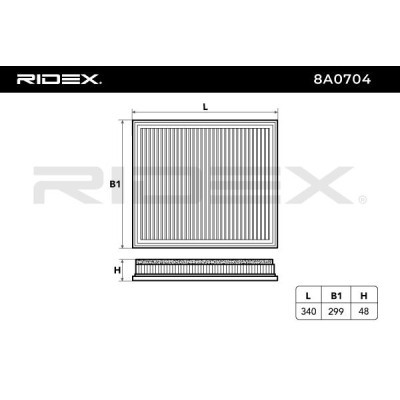 Luftfilter RIDEX 8A0704 8A0704 - foto 6