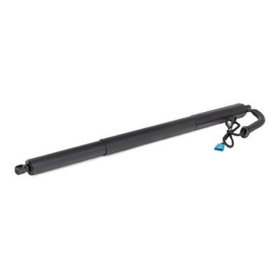 Gasfeder, Koffer-/Laderaum RIDEX 219G1033 219G1033 - foto 3
