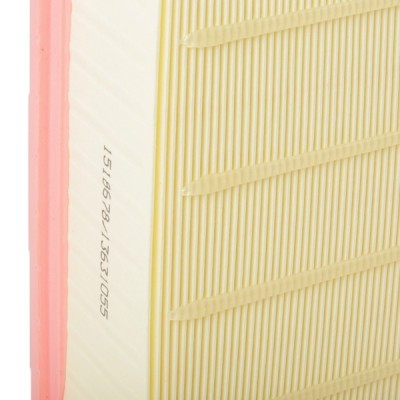 Luftfilter RIDEX 8A0599 8A0599 - foto 5