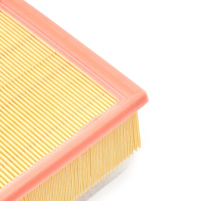 Luftfilter RIDEX 8A1615P 8A1615P - foto 5