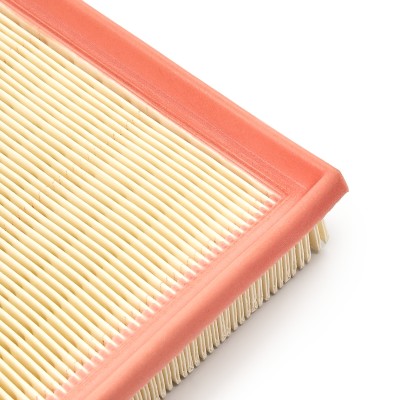 Luftfilter RIDEX 8A1014 8A1014 - foto 11