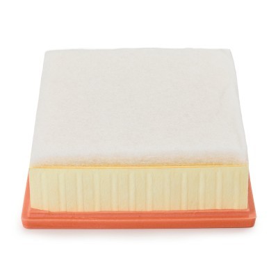 Luftfilter RIDEX 8A0644P 8A0644P - foto 4