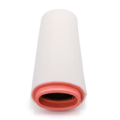 Luftfilter RIDEX 8A0011P 8A0011P - foto 5