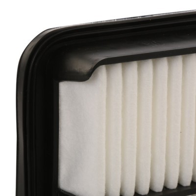 Luftfilter RIDEX 8A0299 8A0299 - foto 4