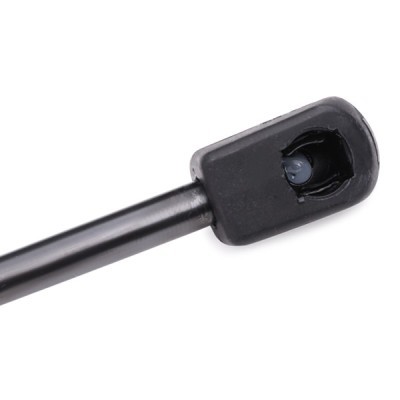 Gasfeder, Koffer-/Laderaum RIDEX 219G0419 219G0419 - foto 5