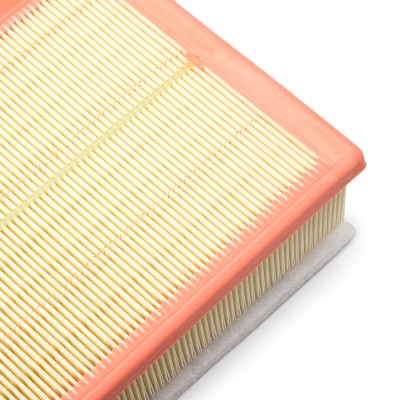 Luftfilter RIDEX 8A1613 8A1613 - foto 10