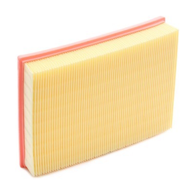 Luftfilter RIDEX 8A0409 8A0409 - foto 4