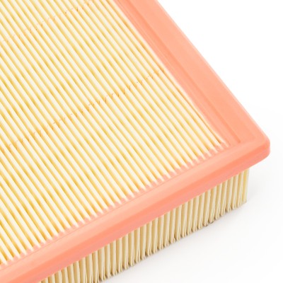 Luftfilter RIDEX 8A1018 8A1018 - foto 10