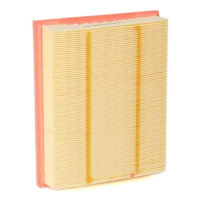 Luftfilter RIDEX 8A0679 8A0679 - foto 4