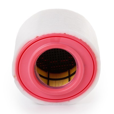 Luftfilter RIDEX 8A0709P 8A0709P - foto 5