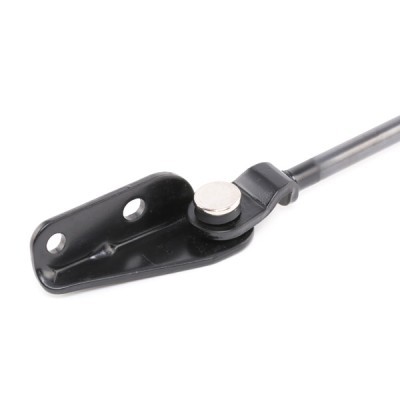 Gasfeder, Koffer-/Laderaum RIDEX 219G0602 219G0602 - foto 6