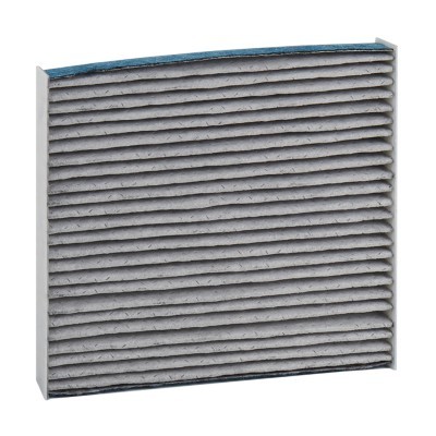 Filter, Innenraumluft RIDEX 424I0501P 424I0501P - foto 2