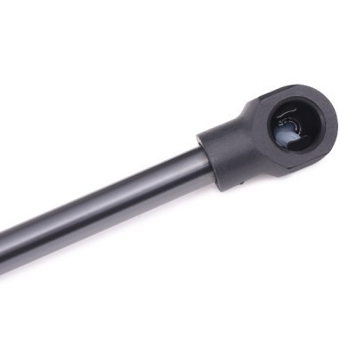 Gasfeder, Koffer-/Laderaum RIDEX 219G0060 219G0060 - foto 5