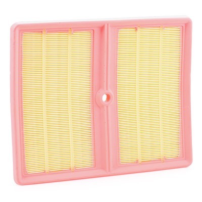 Luftfilter RIDEX 8A0794 8A0794 - foto 4