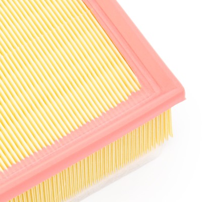 Luftfilter RIDEX 8A1305 8A1305 - foto 10