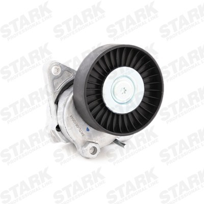 Spannarm Keilrippenriemen Stark SKTL-0610044 SKTL-0610044 - foto 4