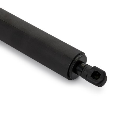 Gasfeder, Koffer-/Laderaum RIDEX 219G1129 219G1129 - foto 5