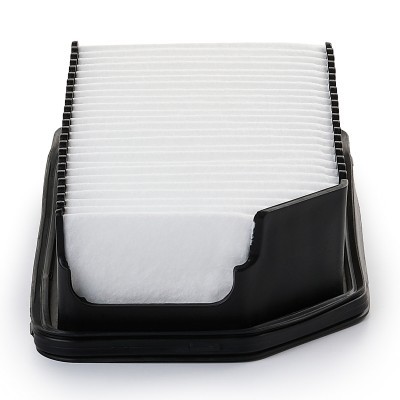 Luftfilter RIDEX 8A0191P 8A0191P - foto 5