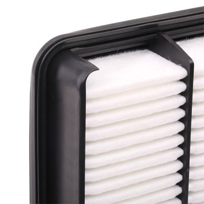 Luftfilter RIDEX 8A0451 8A0451 - foto 5
