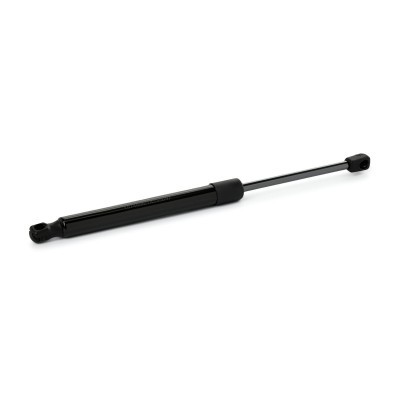 Gasfeder, Koffer-/Laderaum RIDEX 219G1128 219G1128 - foto 3
