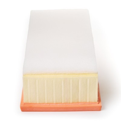 Luftfilter RIDEX 8A0062P 8A0062P - foto 5