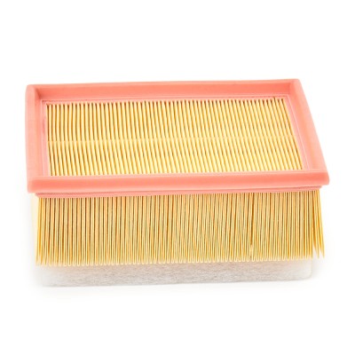 Luftfilter RIDEX 8A1615P 8A1615P - foto 4