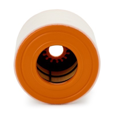 Luftfilter RIDEX 8A0403P 8A0403P - foto 4