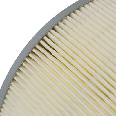Luftfilter RIDEX 8A0327 8A0327 - foto 6